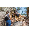 OllyDog Urban Trail Adjustable Spring Dog Leash