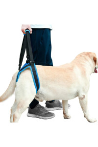 ROZKITcH Pet Dog Support Harness Rear Lifting Harness Veterinarian Approved for Old K9 Helps with Poor Stability, Joint Injuries Elderly and Arthritis AcL Rehabilitation Rehab XL