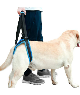 ROZKITcH Pet Dog Support Harness Rear Lifting Harness Veterinarian Approved for Old K9 Helps with Poor Stability, Joint Injuries Elderly and Arthritis AcL Rehabilitation Rehab XL