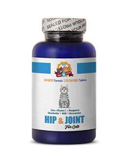 PETS HEALTH SOLUTION cat Joint Supplement Powder - Hip and Joint for Cats - Premium Formula - Treats - Vitamin c for Cats - 120 Chews (1 Bottle)