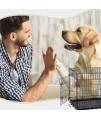 BestPet Dog Crate Dog Cage Pet Crate Folding Metal 36 Inch Pet Cage Double Door W/Divider Panel Wire Animal Cage Dog Kennel Leak-Proof Plastic Tray