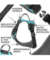 Black Rhino - The Comfort Dog Harness with Mesh Padded Vest for Small - Large Breeds | Adjustable | Reflective | 2 Leash Attachments on Chest & Back - Neoprene Padded Training Handle (Small, Aqua/Gr)