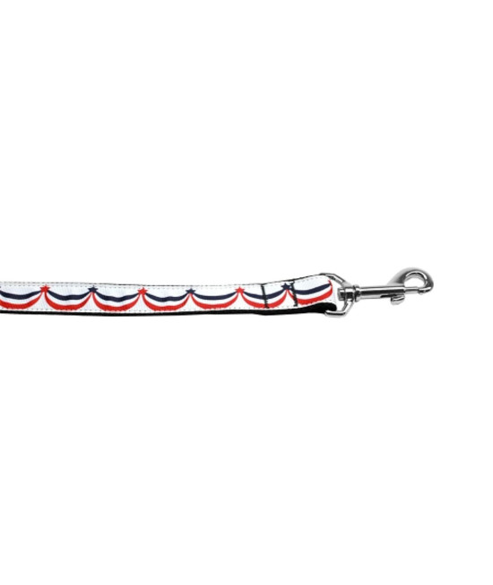 Mirage Pet Products Nylon American Swag Nylon Dog Leash - 58 Wide and 4 Long