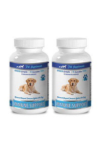 Older Dog Treats - Dogs Immune Support - Advanced CHEWABLE Treats - Premium - Dog Liver Support Supplement - 2 Bottles (180 Chews)