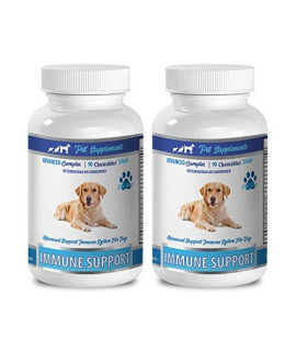 Older Dog Care - Dogs Immune Support - Advanced CHEWABLE Treats - Premium - Dog Mushroom - 2 Bottles (180 Chews)