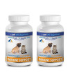 Canine Immune Support - PET Immune Support - Dogs and Cats - VETS Choice - Chews - Dog Milk Thistle - 2 Bottles (180 Treats)