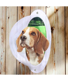 Downtown Pet Supply Dog Fence Acrylic Dome - Bubble Dome for Privacy Fence - Great for Children & Pets, Dog Kennel, Tree House or Children Playground - Easy Installation, Nuts & Bolts Included - 9.5in