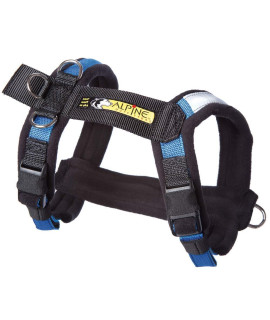 Alpine Outfitters Urban Trail Adjustable Harness