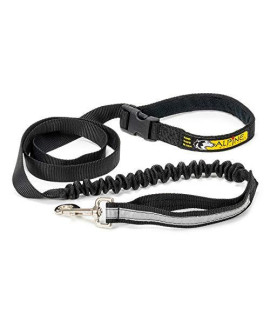 Alpine Outfitters Urban Trail Double Duty Leash with Padded Handle, Traffic Handle and 3M Scotchlite Reflective Bands --- Go Hand-Held or Hands-Free!