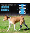 NeoAlly Dog Rear Leg Brace Canine Hind Hock Brace with Safety Reflective Straps for Joint Injury and Sprain Protection, Wound Healing and Loss of Stability from Arthritis (Blue XL Pair)