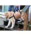 Travelin K9 Large Dog Lift Harness - Dog Support Harness - Dog Stair Lift - Dog Car Lift. For Disabled Dogs, Elderly Dogs, Injured Dogs, to support dogs back legs, and as a Dog Rehabilitation Harness