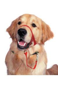 Dog Head collar, No Pull Training Tool for Dogs on Walks, Includes Free Training guide, 5 (M, Red)