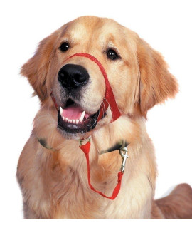 Dog Head collar, No Pull Training Tool for Dogs on Walks, Includes Free Training guide, 5 (XL, Red)