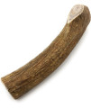 Elk Antlers for Dogs - Grade A, Naturally Shed Antlers | Long Lasting Dog Bones for Aggressive Chewers & Teething Puppies | All Breeds Chew Toy USA Made & Veteran Owned | Medium: 5-6 Whole Elk 1-Pack