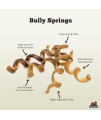 Redbarn Odor Free Bully Springs for Dogs (25-Count)