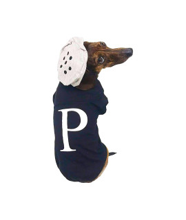Midlee Salt & Pepper Dog Halloween Costume (Pepper, Small)