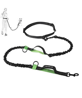 Mile High Life Retractable Hands Free Dog 7FT Leash Waist Running Adjustable Reflective Dual Black Bungees Dual Handles Small Medium Large Dogs (green)