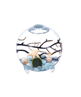 EssenceLiving Footed Aquarium kit- Marimo Ball, Natural Gravels and Shells Unique Chrsitmas Gifts (Larimar Gravels)