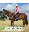Silver Lining Herbs Herbal Horse Wormer | Natural Horse Wormer Supports Your Equines Natural Defense System to Destroy or Expel Unwanted Parasites | 3 Ounce (1 Dose) | Made in The USA