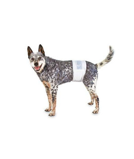 So Phresh Comfort Dry Disposable Male Dog Wraps, Count of 12, Medium, Off-White