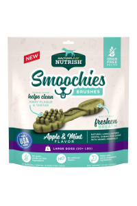 Rachael Ray Nutrish Smoochies Brushes Natural Long Lasting Dog Dental chews, Apple & Mint, Large Size, 37 Treats, grain Free