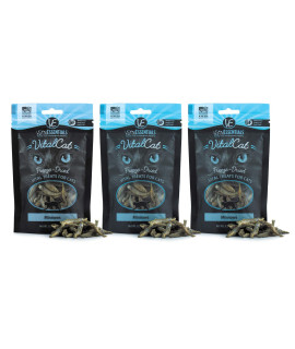 Vital Cat Vital Essentials Minnows Freeze-Dried Cat Treats - All Natural Raw Treat - Made & Sourced in USA - Grain Free - 0.5 oz Resealable Pouch - 3 Pack