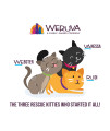 Weruva B.F.F. Play - Best Feline Friend PatLovers, Aw Yeah!, Turkey & Tuna Twinkles with Turkey & Tuna, 3oz Pouch (Pack of 12)