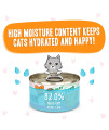 Weruva B.F.F. Play - Best Feline Friend PatLovers, Aw Yeah!, Tuna & Salmon Oh Snap! with Tuna & Salmon, 2.8oz Can (Pack of 12)