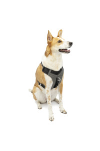Kurgo Dog Harness for Medium, & Small Active Dogs, Pet Hiking Harness for Running & Walking, Everyday Harnesses for Pets, Reflective, Journey Air (Black, Large)