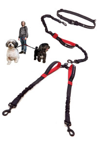 Hands Free Double Dog Leash for Small Dogs | Dual Dog Leash | Two Dog Leash No Tangle | Multiple Dog Leash for 2 Dogs | Double Leash | Leash Splitter | 2 Dog Leash | Double Clip Leash Coupler