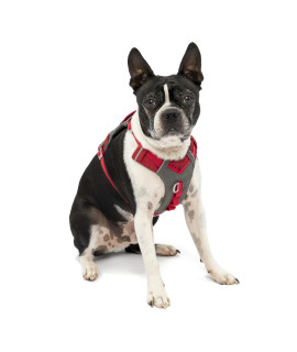 Kurgo K01937 Dog Harness for Large, Medium, & Small Active Dogs, Pet Hiking Harness for Running & Walking, Everyday Harnesses for Pets, Reflective, Journey Air, Red/Grey 2018, X-Small