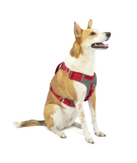 Kurgo Dog Harness for Medium, & Small Active Dogs, Pet Hiking Harness for Running & Walking, Everyday Harnesses for Pets, Reflective, Journey Air, Red/Grey 2018, Large