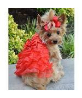 DOGGIE DESIGN Holiday Dog Harness Dress Red Satin