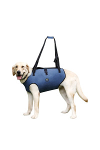 Coodeo Dog Lift Harness, Pet Support & Rehabilitation Sling Lift Adjustable Padded Breathable Straps for Old, Disabled, Joint Injuries, Arthritis, Loss of Stability Dogs Walk (Blue, 2XL)