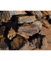 Manzanita Driftwood 5lb Petrified Wood for Aquariums