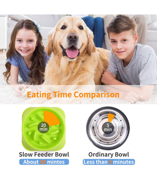 Pet Enjoy Cat Dog Slow Feeder Bowl,Non Slip Puzzle Bowl Anti-Gulping Pet  Slower Food Feeding Dishes,Interactive Dog Bowls Durable Stainless Steel  Pets