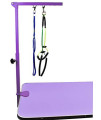 Downtown Pet Supply - Portable Dog Grooming Arm with Loop & Clamp for Pet Grooming Table - Dog Grooming Supplies 27in Foldable Purple Steel Arm with S/M (19 or 21in) No Sit Haunch Holder