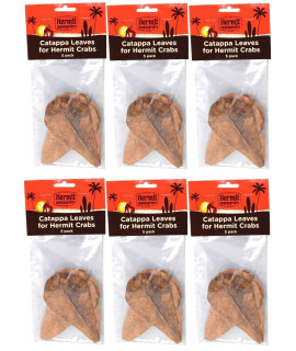 Flukers catappa Leaves for Hermit crabs (5 Leaves Per Pack) (6 Pack)