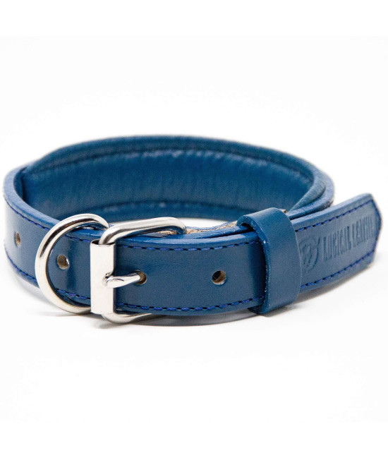 Logical Leather Padded Dog collar - Best Full grain Heavy Duty genuine Leather collar - Blue - Small