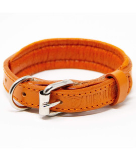 Logical Leather Padded Dog collar - Best Full grain Heavy Duty genuine Leather collar - Orange - Extra Small