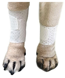 PawFlex Basic Leg Bandages for Dogs, Cats and Other Pets First Aid Non-Adhesive Fur Friendly - Value 24 Pack (Standard,& Wide) (Medium)
