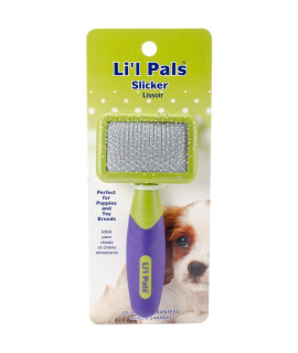 Li'l Pals Tiny Slicker Brush (5 Pack)