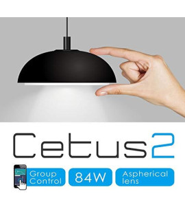 Cetus2 84 Watt LED Pendant