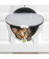 LYNX Cat Door for Pets - 4 Way Locking Cat Flap - for Interior Doors & Exterior Doors, Wall or Hidden Cat Litter Box - Easy & Quick Installation - Kitty Training Tips Included (Off-White)