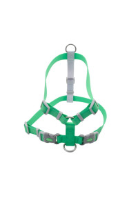 Coastal - Pro - Waterproof Harness, Lime, 1" x 26"-38"