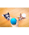 Wicked Ball, Your Pet's First Automatic Companion, 100% Automatic Ball to Keep Your Pets Entertained All Day