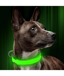 Illumifun LED Dog Collar, USB Rechargeable Glowing Pet Safety Collar, Adjustable Reflective Light Up Collar for Your Small Dogs(Green, Small)