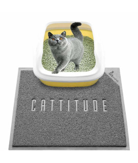WePet cat Litter Box Mat, Kitty Premium PVc Pad, Durable Trapping Rug, Phthalate Free, Urine-Resistant, Scatter control, M 24 x 22, grey