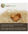 MagJo Pet Natural Aspen Shaving Nesting Liners (40 Pack)