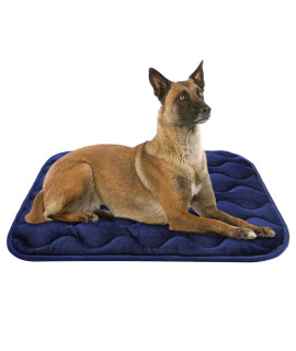 AIPERRO Dog crate Pad Washable Dog Bed Mat Dog Mattress Pets Kennel Pad for Large Medium Small Dogs and cats, 42 x 27, Blue